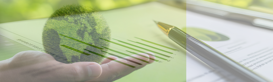 Eine Hand hält einen grünen Ball mit Erdensymbol, Berichte